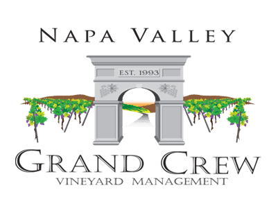 Napa Website Design