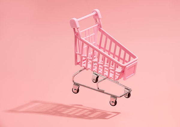 shopping cart to symbolize guidance on  web development