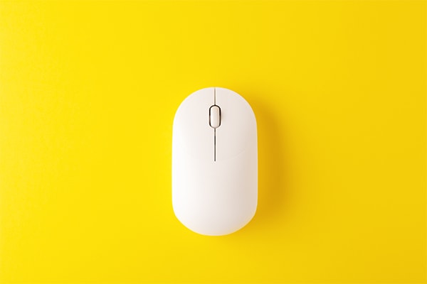 computer mouse 